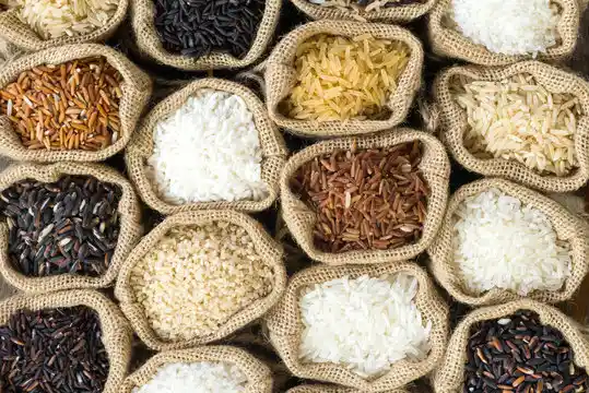 Rice